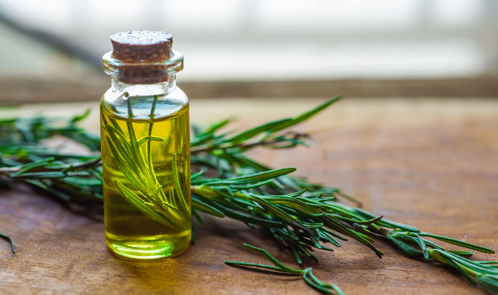 How to make rosemary,Hibiscus and cloves hair growth oil